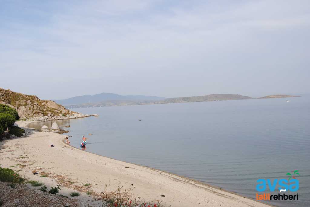 AVŞA ADASI İNCİRLİ KOYU