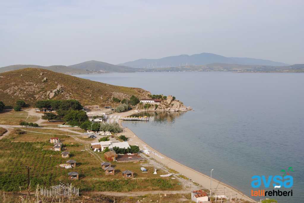 AVŞA ADASI ALTINKUM KOYU