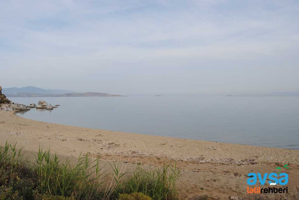 AVŞA ADASI KUMTUR KOYU