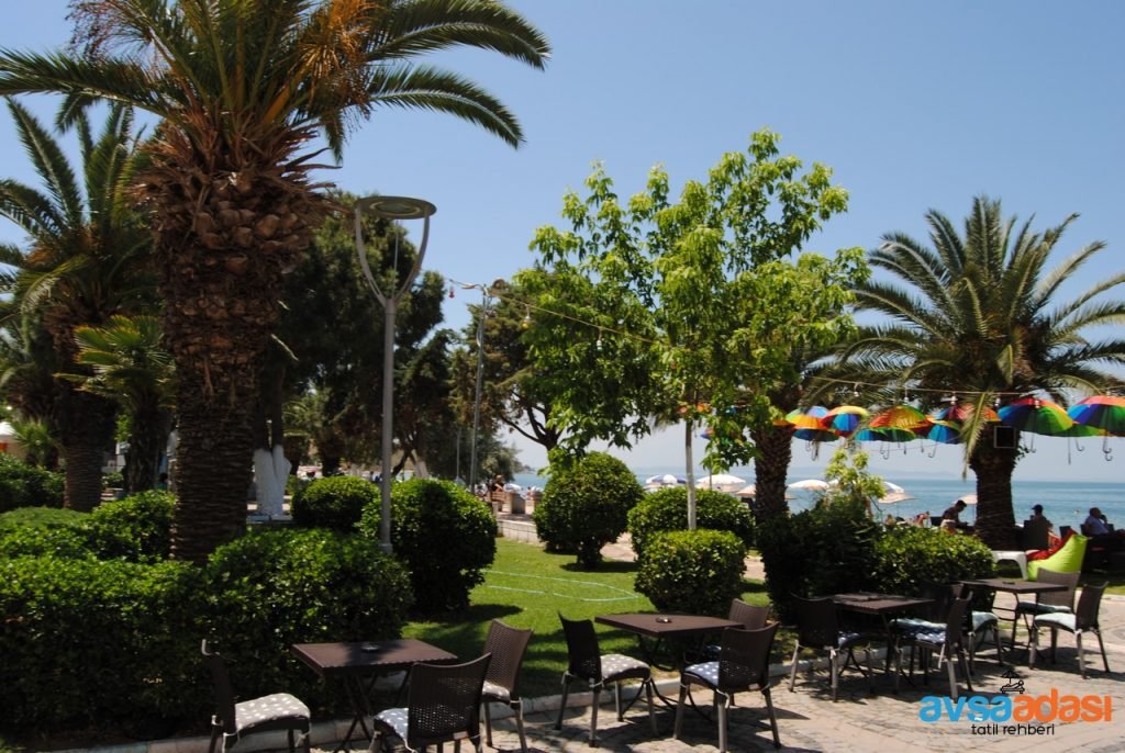 Avşa Adası İş İlanları 2025