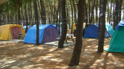 Erikli Camping, Kamp Alanları