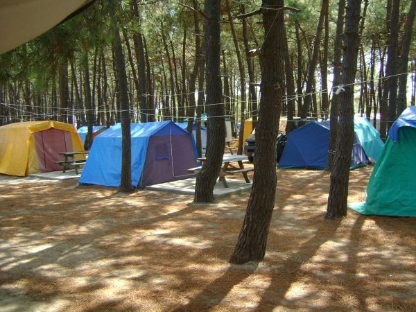 Erikli Camping, Kamp Alanları