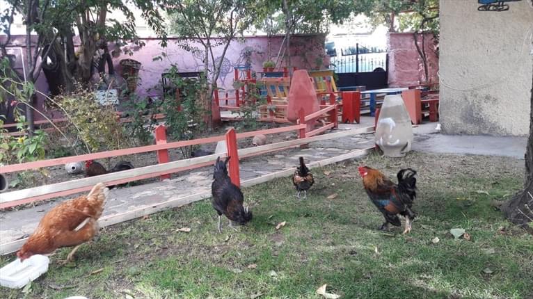 Garden of Cappadocia