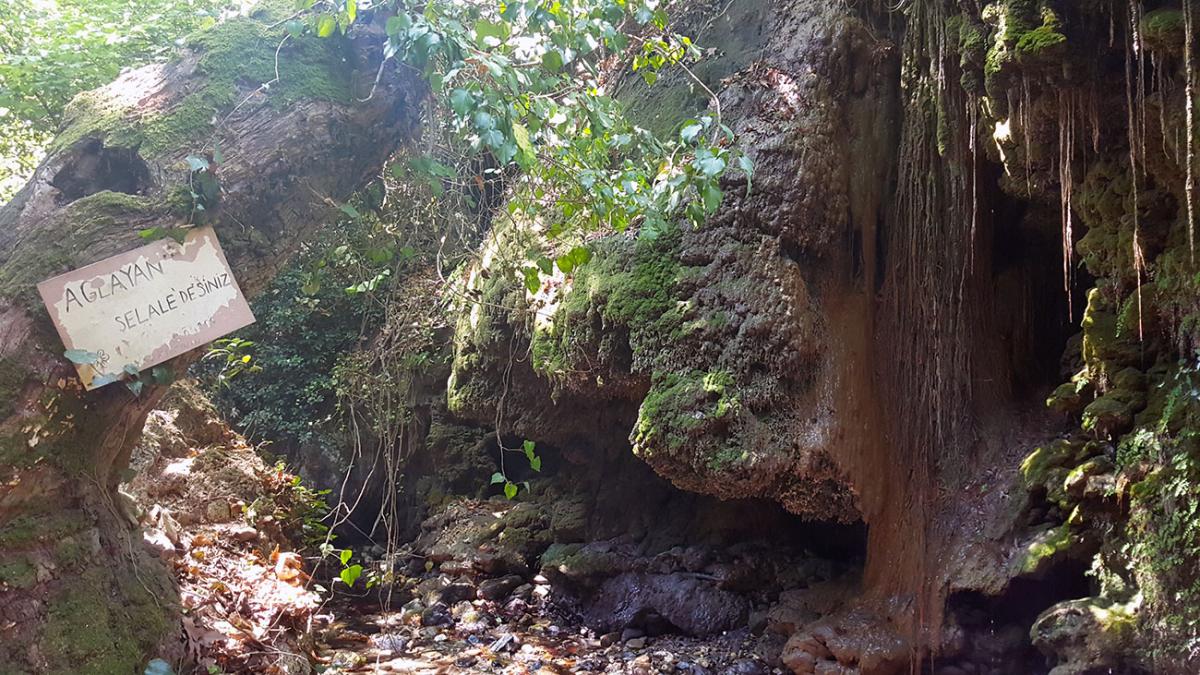 Ağlayan Şelale Kamping