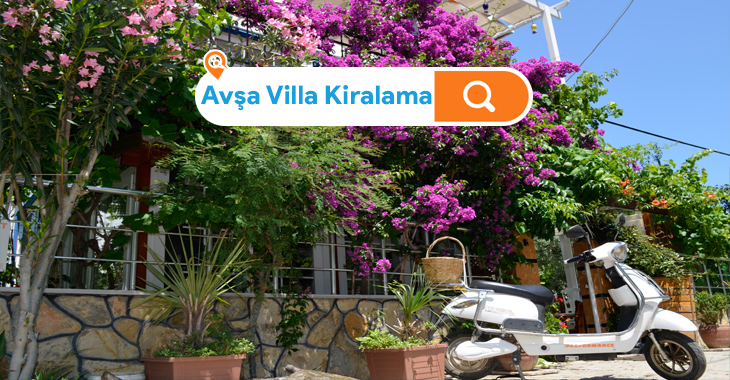 avşa villa kiralama
